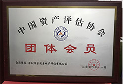 中國(guó)資產(chǎn)評(píng)估協(xié)會(huì)團(tuán)體會(huì)員